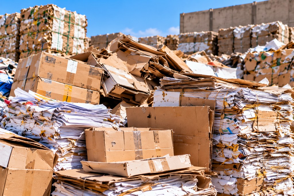 Paper & Carton Waste